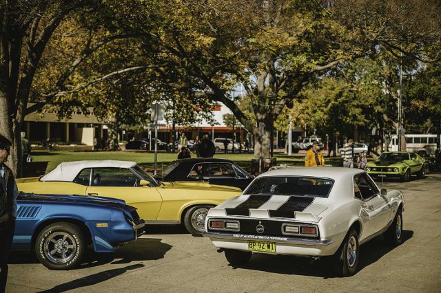 Muscle Down-Under