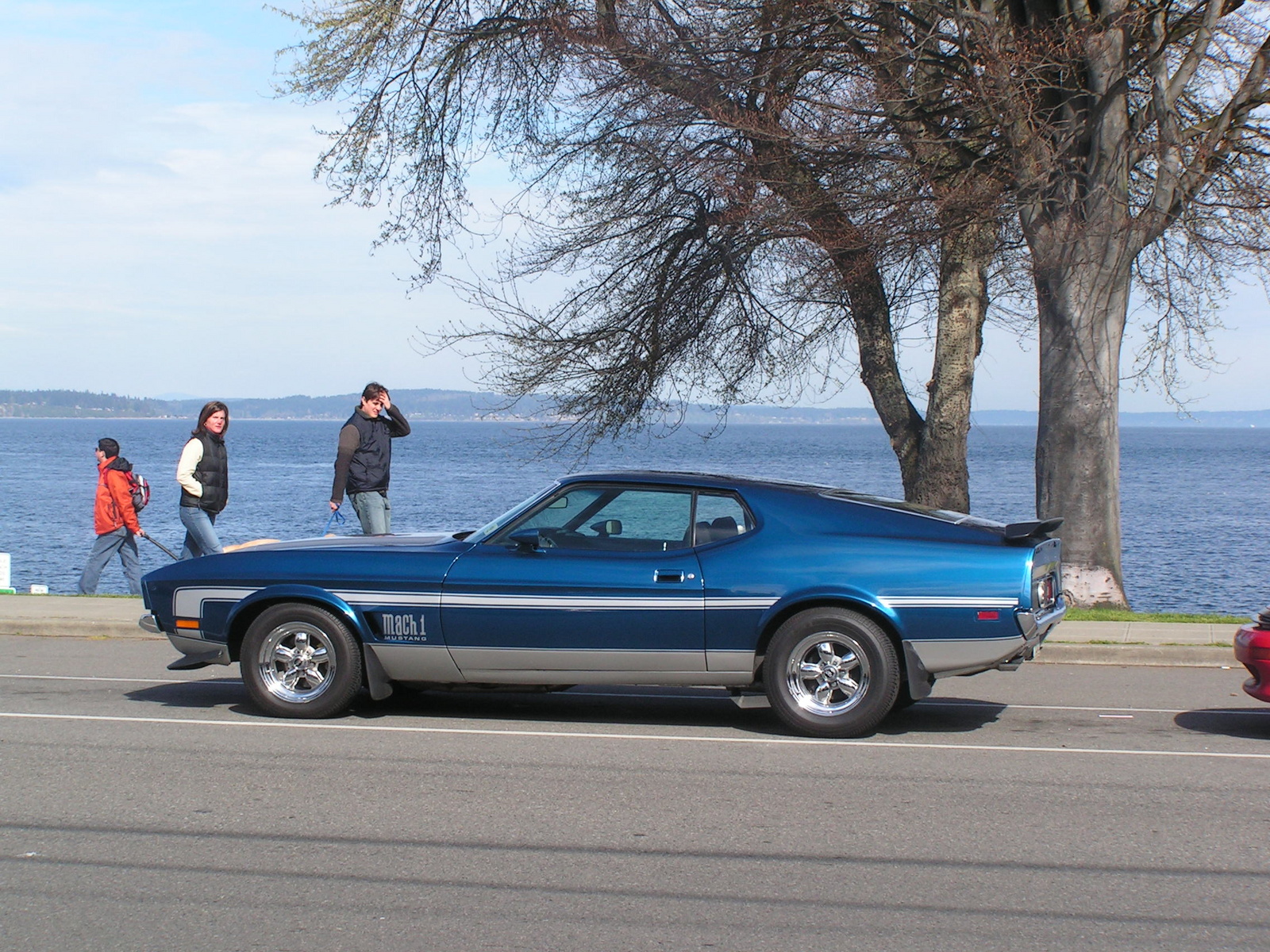 1971 ford mustang mach 1